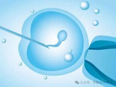 39岁和40岁试管区别大不大-39岁和40岁试管成功率对比