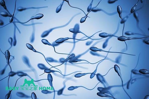 2022申请精子库精子有哪些流程