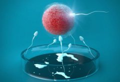 2024昆明第三代试管婴儿医院攻略，附三代试管医院推荐