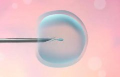 哈尔滨做试管婴儿胚胎移植手术多少钱一次？附2024最新生殖排行榜详情