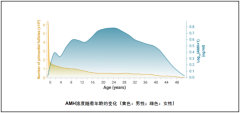 科普|带您详细了解AMH