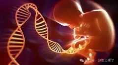 三代试管包生男孩成功率并非100%，但移植囊胚可提高