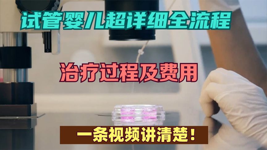 试管婴儿超详细全流程，治疗过程及费用，一条视频讲清楚！
