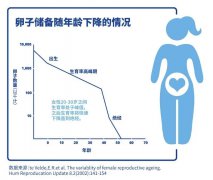 25岁的卵泡和45岁的卵泡有什么区别？