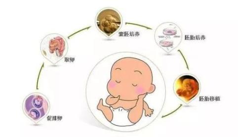 贵阳妊娠中心公司排名前十，哪家试管医院好？（三代试管费用清单来了）