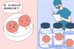冻卵vs冻胚该如何选择，那个成功率更高
