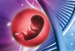 HIV三代试管婴儿可以做吗！男性hiv试管婴儿国内可以做吗？价格差异对比！