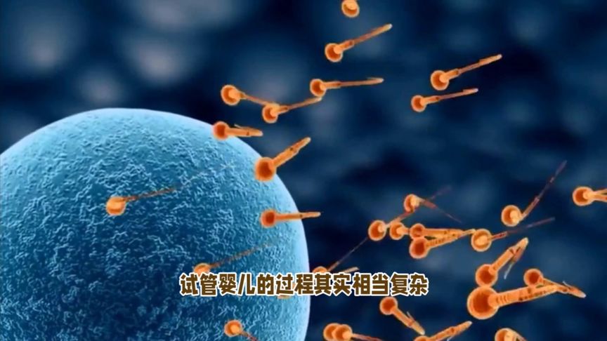 女生试管婴儿究竟多疼？3D动画模拟全过程，看完你别不敢信！