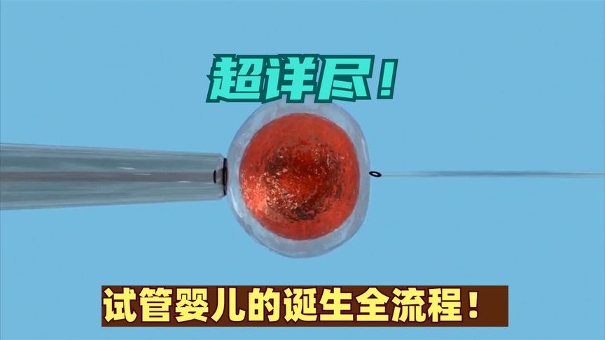 超详尽！试管婴儿的诞生全流程！