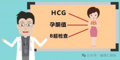 孕育分享：移植成功后，孕早期如何预防生化、胎停、流产？