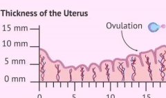 内膜23mm怀孕看不见孕囊不正常！妊娠时间短原因之一
