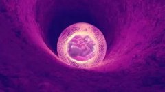合肥私立机构做三代试管能花多少钱？2024最新费用曝光