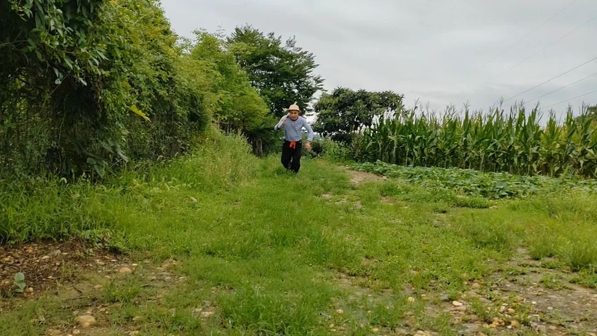 男方没生育，做试管婴儿也是最好的选择，本故事纯属虚构演绎