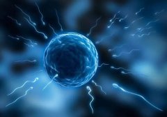 2024年美国试管婴儿医院排名一览，附三家知名试管医院对比表