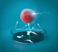基础卵泡2-3个是正常的，受孕过程需遵医嘱