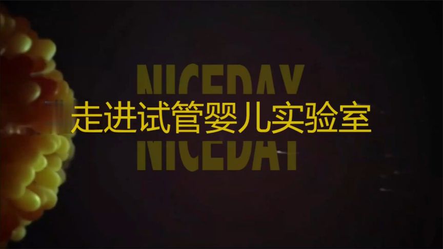 走进试管婴儿实验室