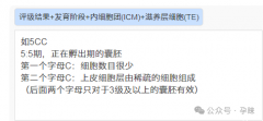 好奇胚胎5CC是什么级别瞅这，是男是女过来人有话说！
