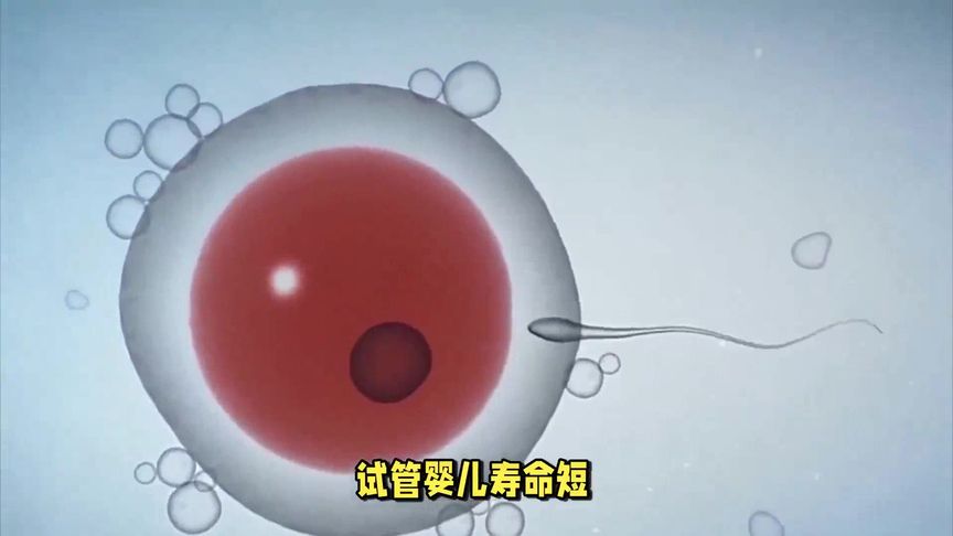 试管婴儿寿命短？专家揭秘真相，颠覆你的认知！