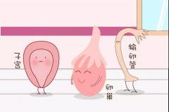BRG分享|高龄、卵少、AMH低女性做三代试管还是怀不上孕？不孕群体最后的生育希望~