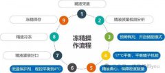 第三代试管婴儿：冷冻精子是否会影响试管婴儿成功率？
