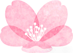 日本做三代试管婴儿有哪些注意事项