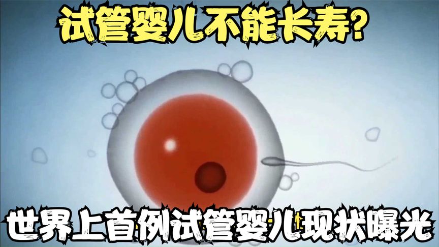 试管婴儿不能长寿？智商会受影响？世界上首例试管婴儿现状曝光