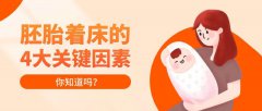 影响试管婴儿胚胎着床的4大要点？