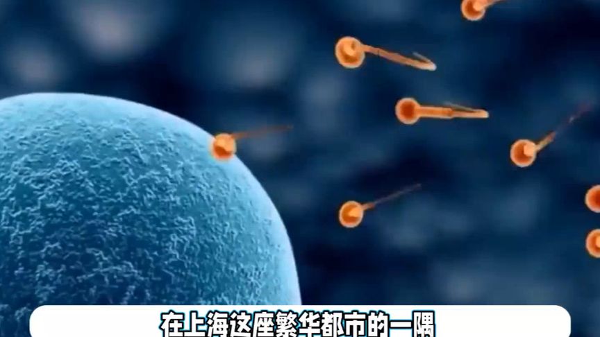 上海试管婴儿撞脸后续：对方妈妈自然受孕拒鉴定，气愤报警