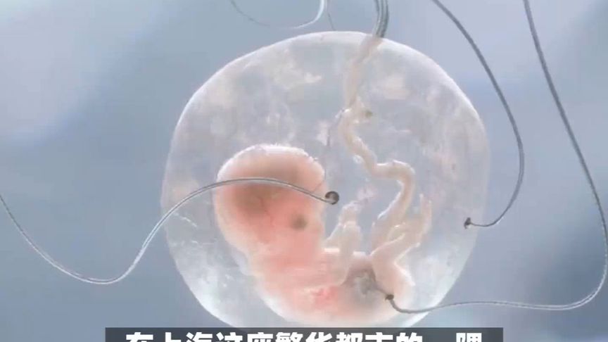 上海试管婴儿撞脸后续！对方妈妈称自然受孕拒鉴定，官方回应来了