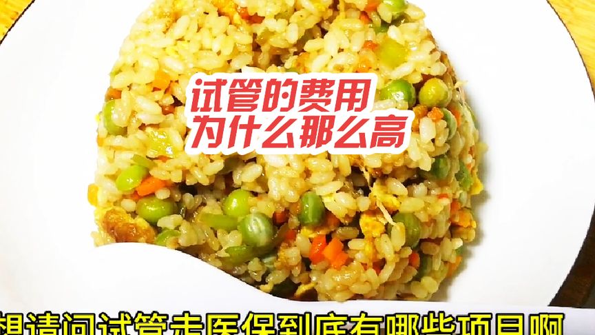 试管婴儿到底哪些项目纳入医保了啊#蛋炒饭 #懒人饭 #妈呀太香了