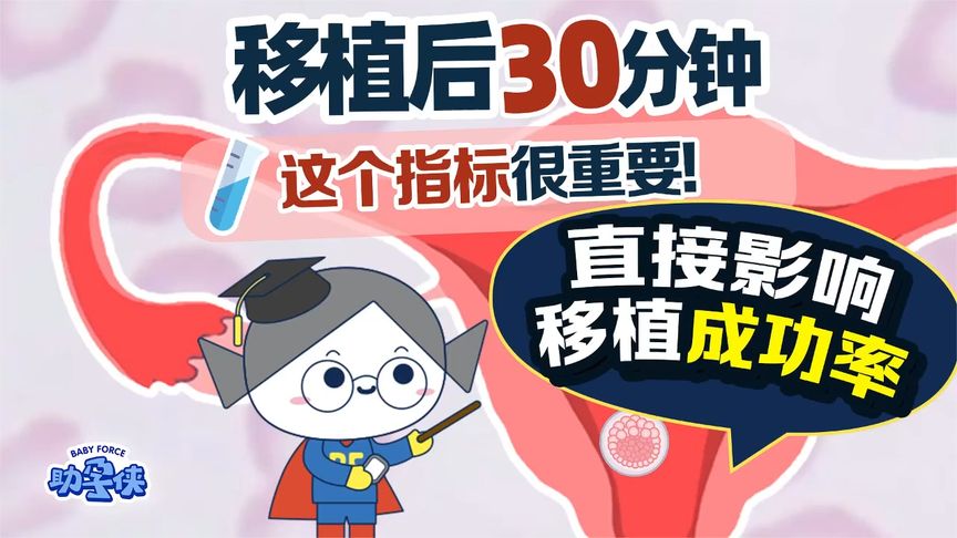 试管移植后30分钟这个指标决定试管成功率！