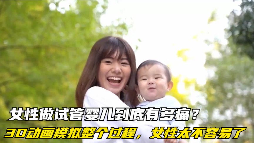 女性做试管婴儿到底有多痛？3D动画模拟整个过程，女性太不容易了