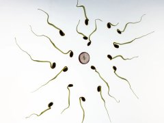 高龄做三代试管提高成功率的方法汇总，做好这4件事一次成功率不是难题！