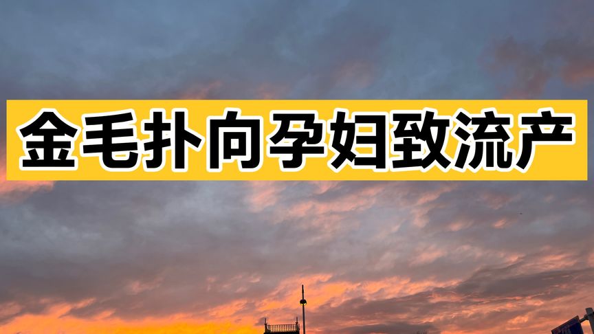 3年才怀上的试管婴儿，突然不幸流产！上海41岁女子将邻居告了