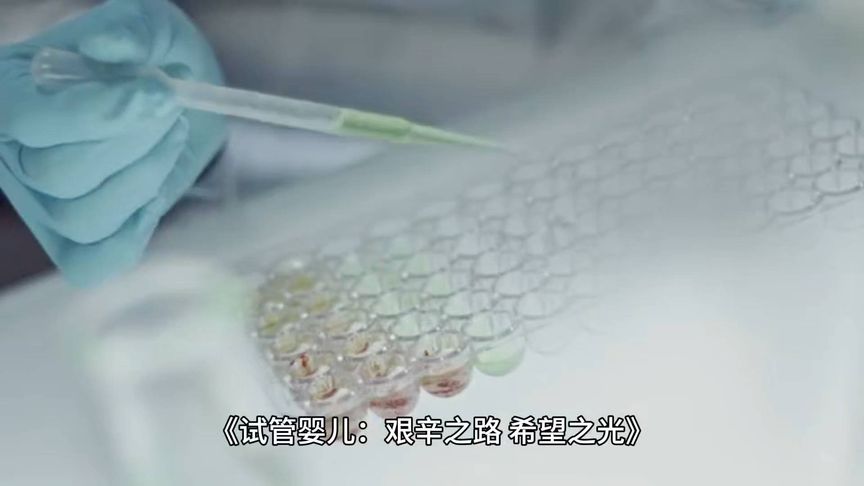 试管婴儿，艰辛之路，希望之光